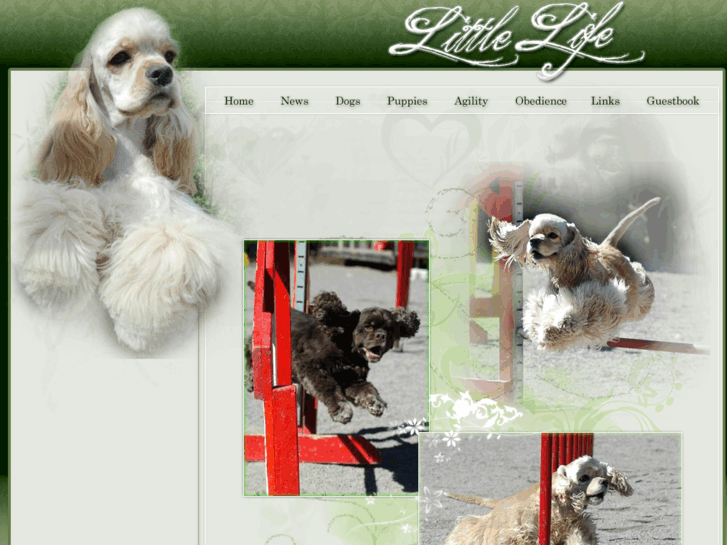 www.littlelifekennel.com