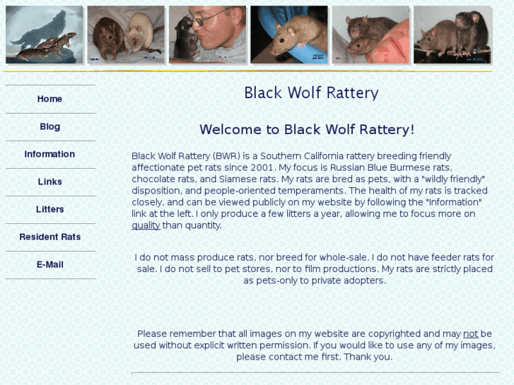 www.blackwolfrattery.com