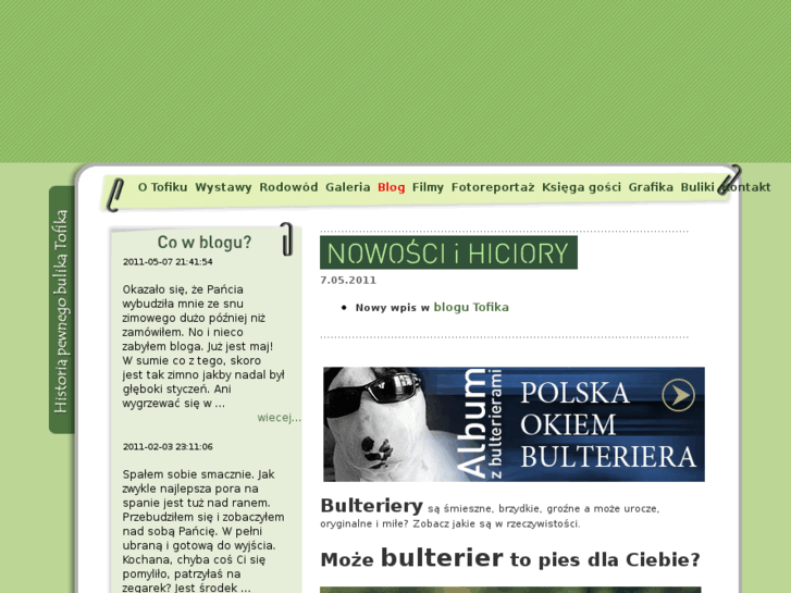 www.bullterrier.pl