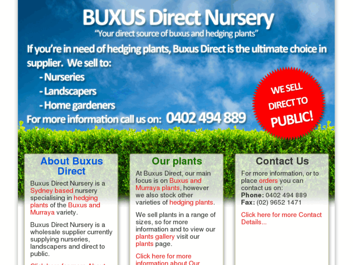 www.buxusdirectnursery.com