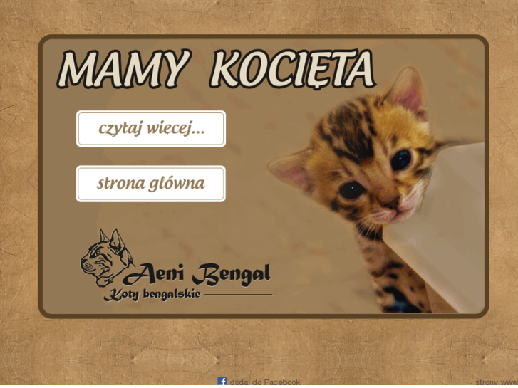 www.kotybengalskie.com.pl