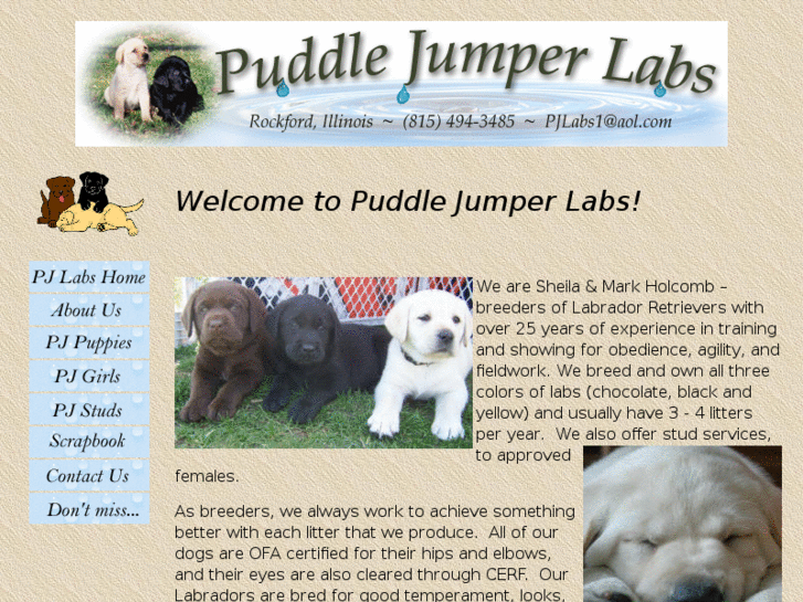 www.puddlejumperlabs.com