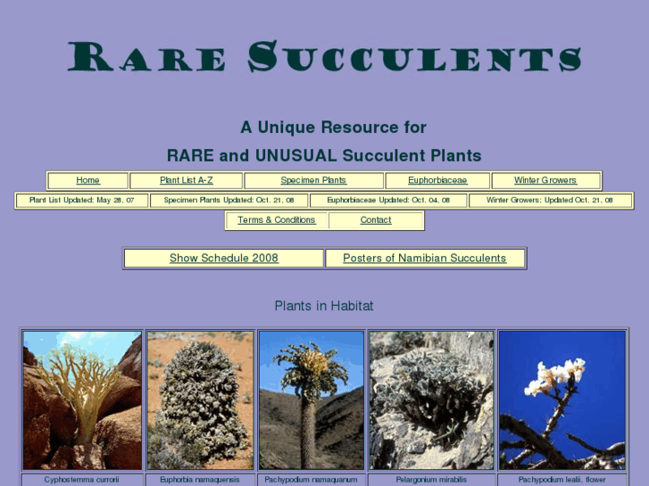 www.rare-succulents.com