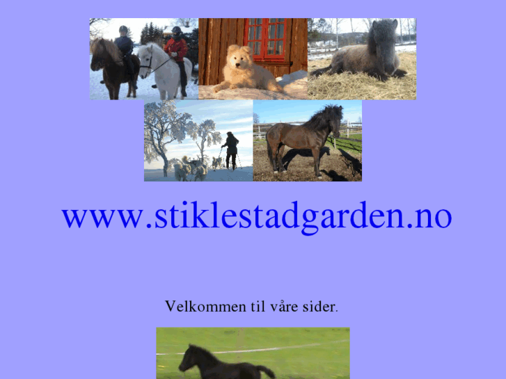 www.stiklestadgarden.no