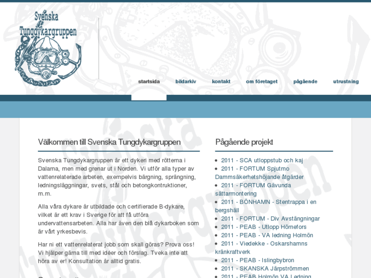 www.svenskatungdykargruppen.com