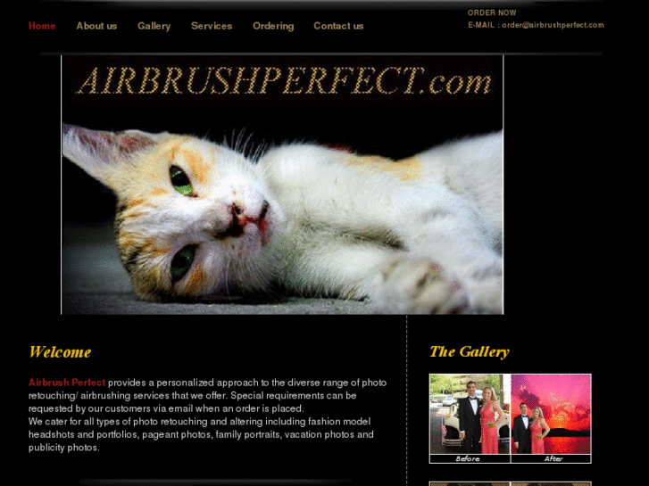 www.airbrushperfect.com