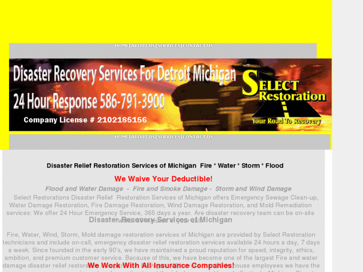 www.disasterrecoverymi.com