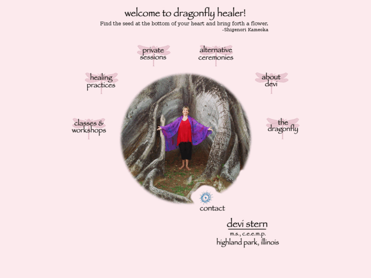 www.dragonflyhealer.net