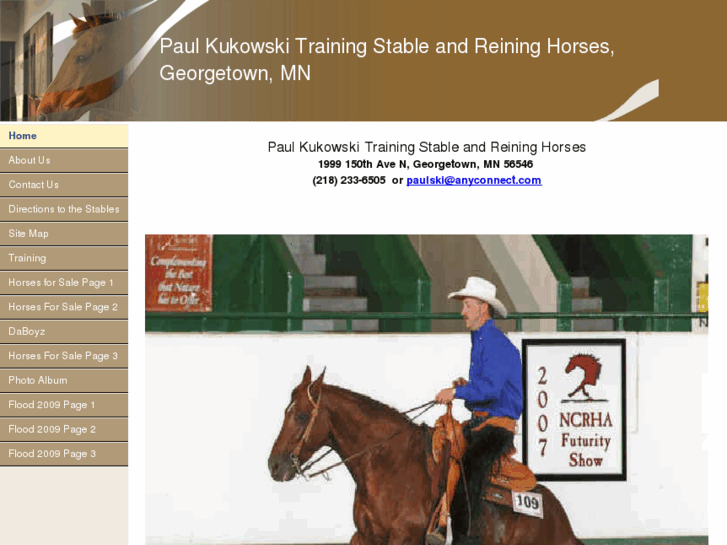 www.kukowskireininghorses.com