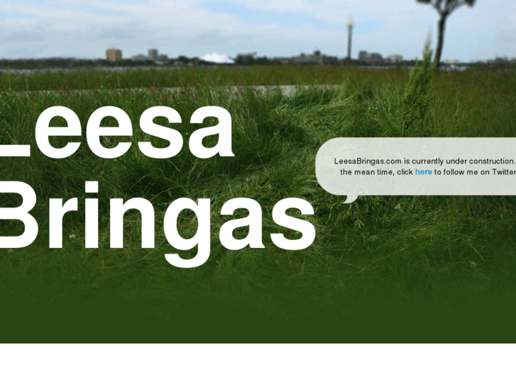 www.leesabringas.com