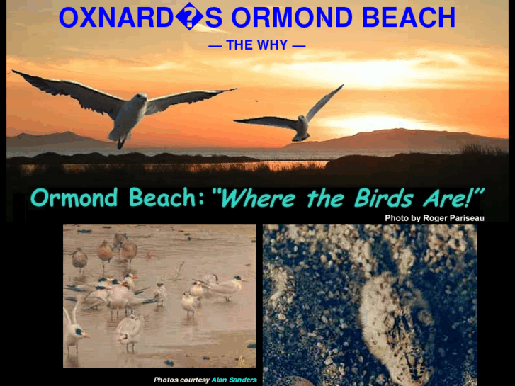 www.ormondbeachwetlands.org