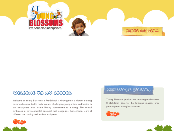 www.youngblossom.com