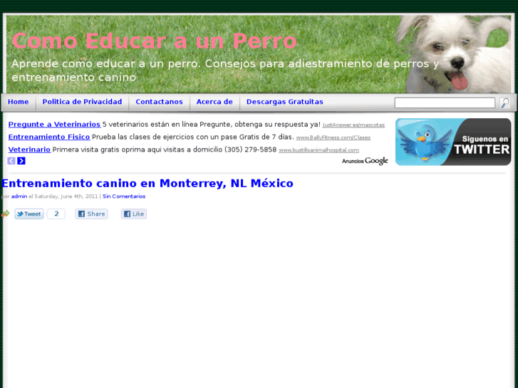 www.comoeducaraunperro.net