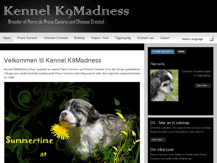 www.k9madness.com