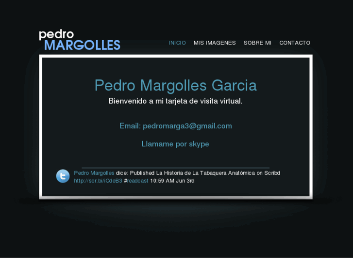 www.pedromargolles.com