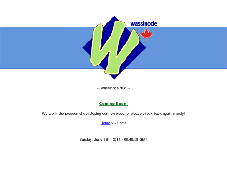 www.wassinode.com