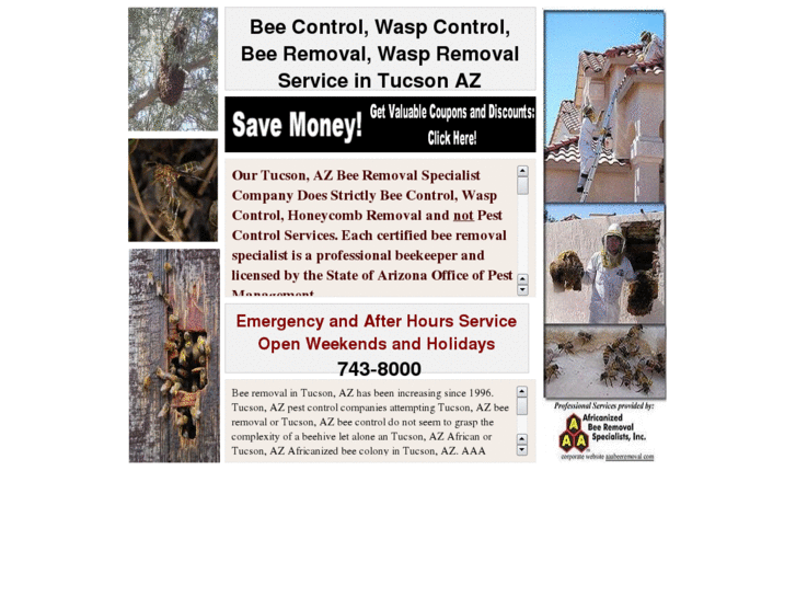 www.beecontroltucsonaz.com