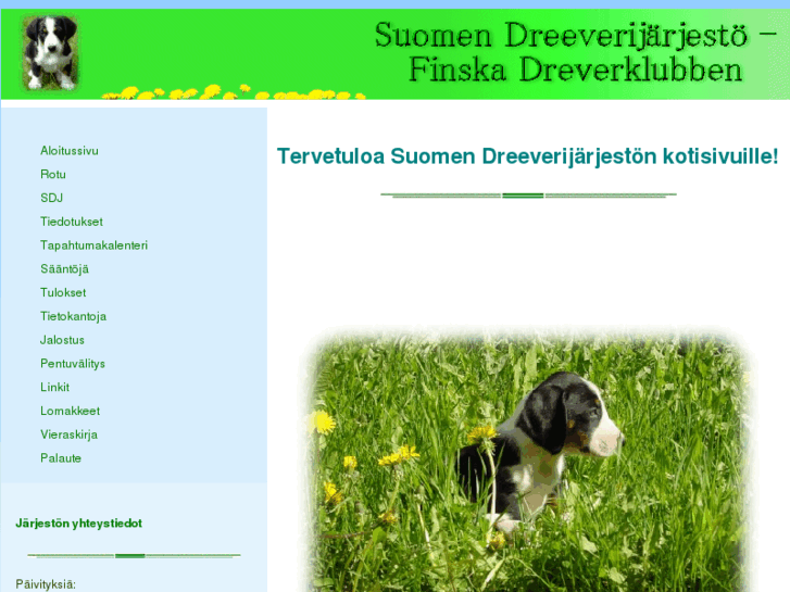 www.dreeveri.fi