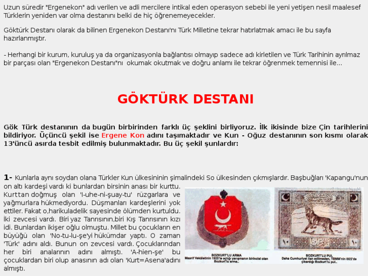 www.gokturk.org