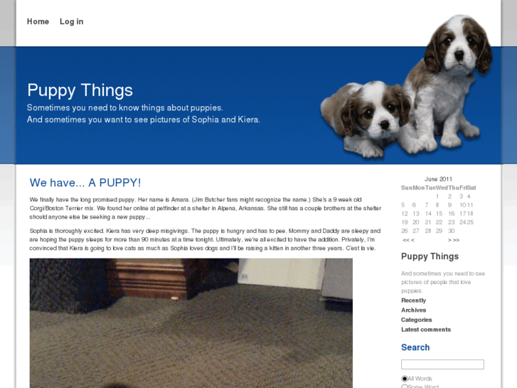 www.puppythings.net