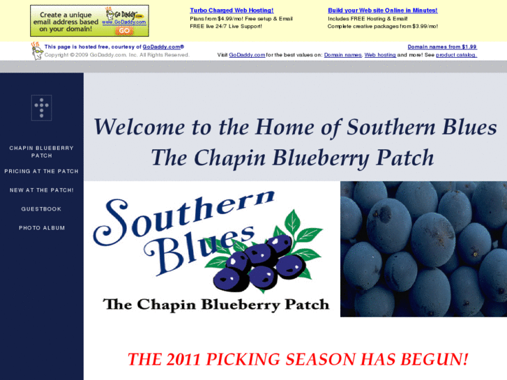 www.southernblueberries.com