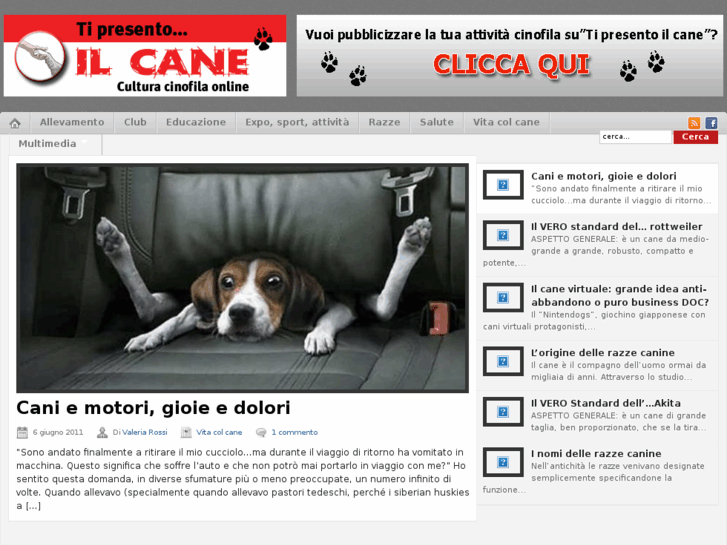 www.tipresentoilcane.com