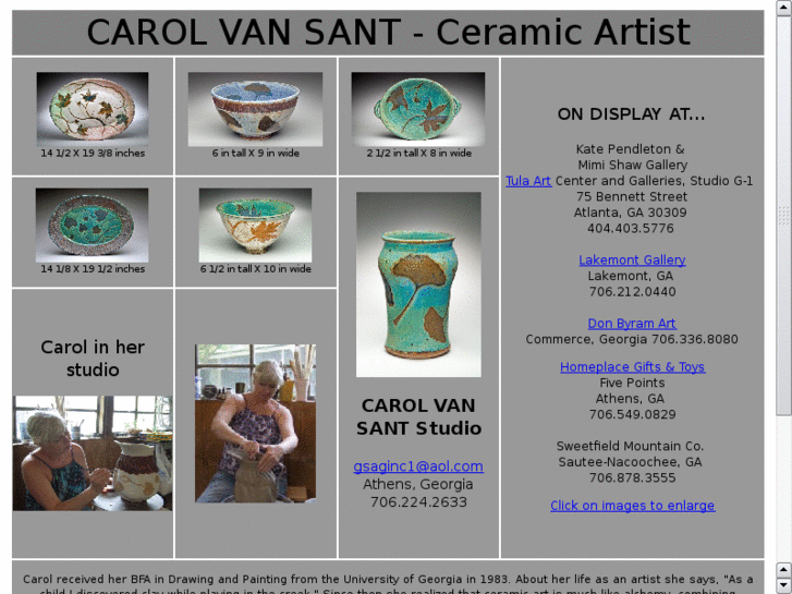 www.carolvansant.com