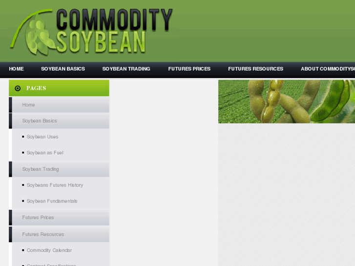 www.commoditysoybean.com