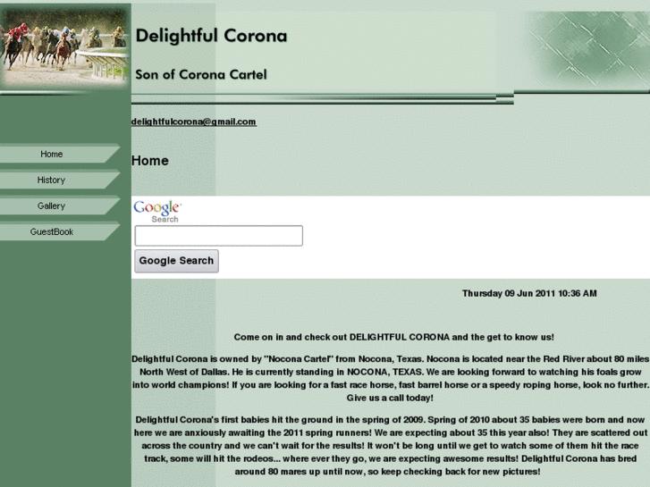 www.delightfulcorona.com