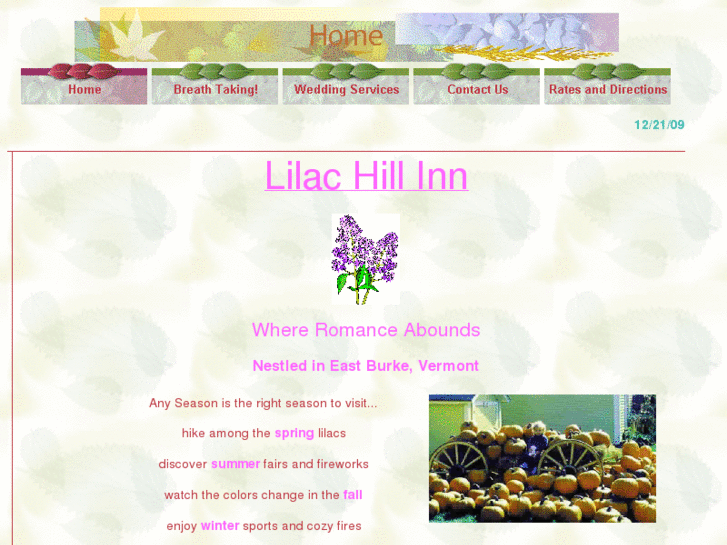 www.lilachillinn.com