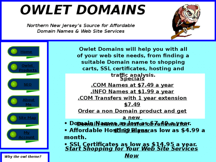 www.owletdomains.com