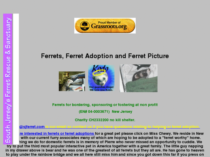 www.sjferret.com