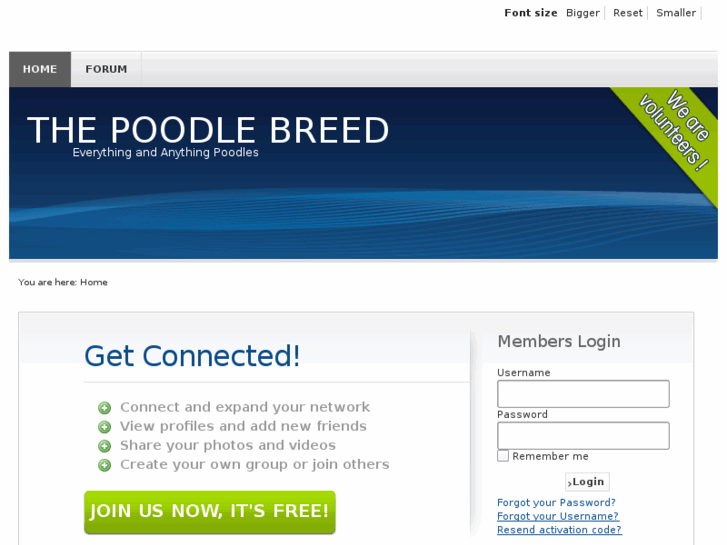 www.thepoodlebreed.com