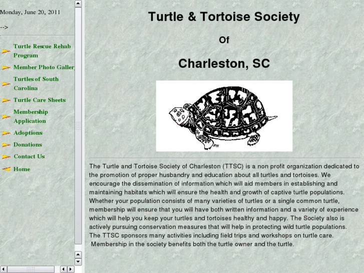 www.turtlesanctum.org