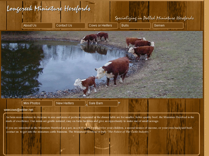 www.longcreekminiatureherefords.com