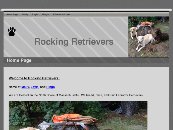 www.rockingretrievers.com