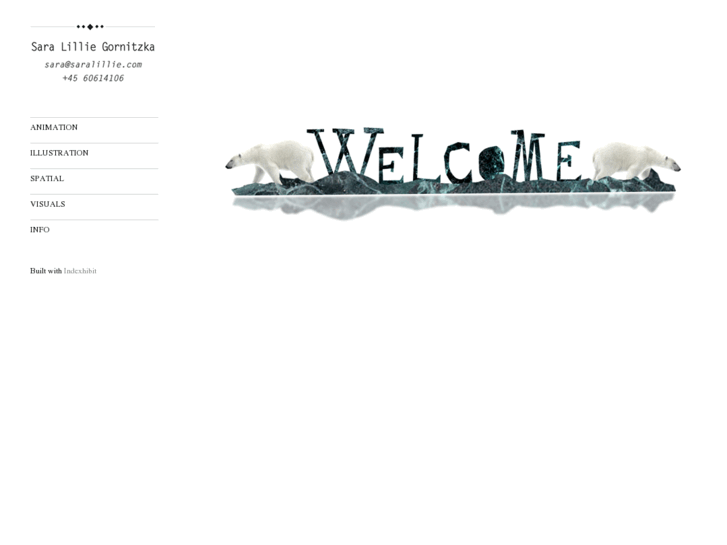 www.saralillie.com