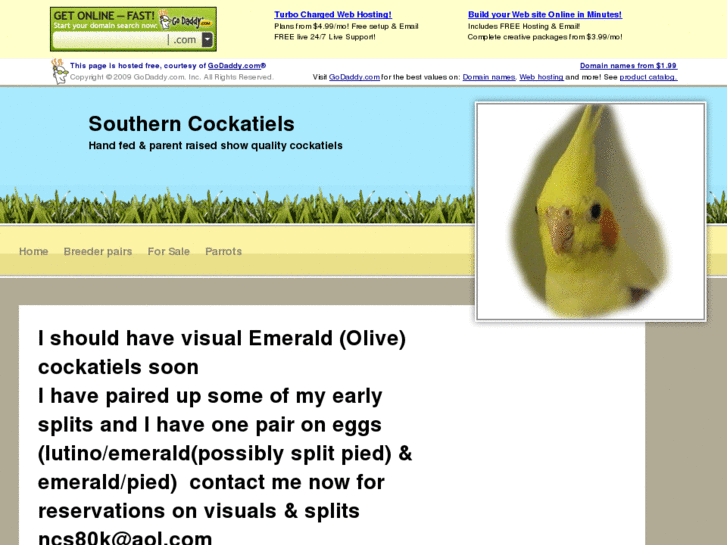 www.southerncockatiels.com