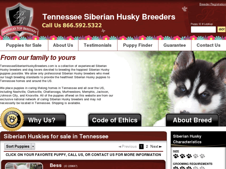 www.tennesseesiberianhuskybreeders.com