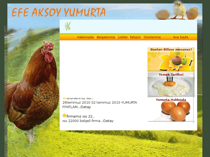 www.efeaksoy.com