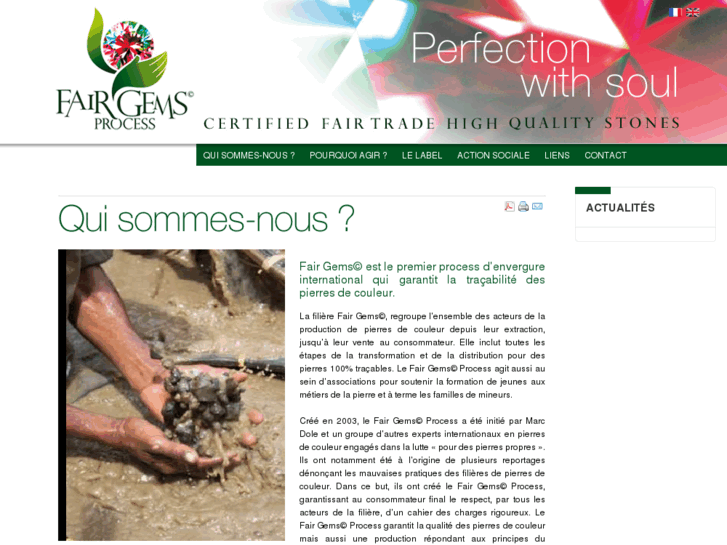 www.fairgemsprocess.net
