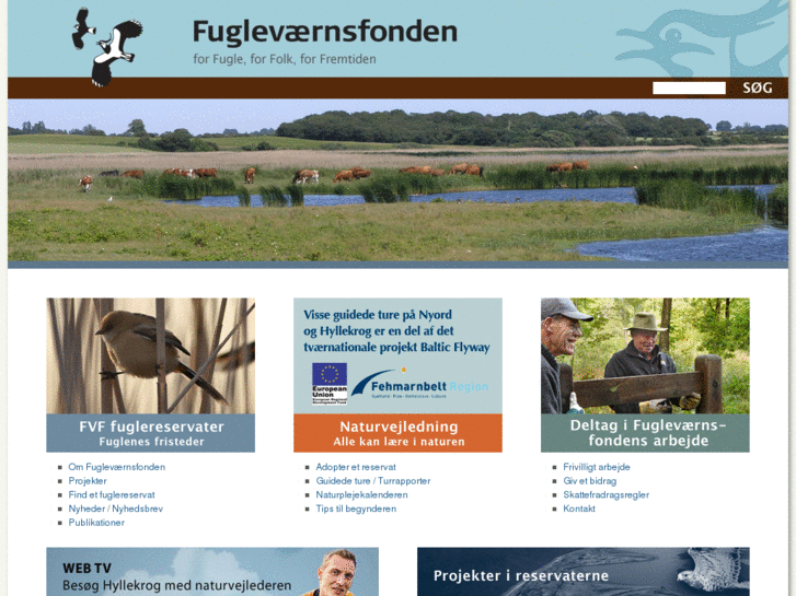 www.fuglevaernsfonden.dk