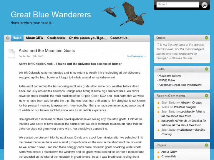 www.greatbluewanderers.com