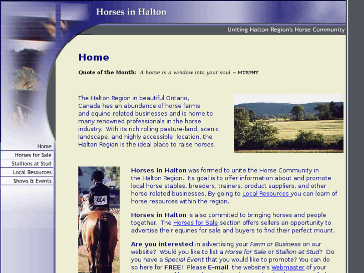 www.horsesinhalton.com