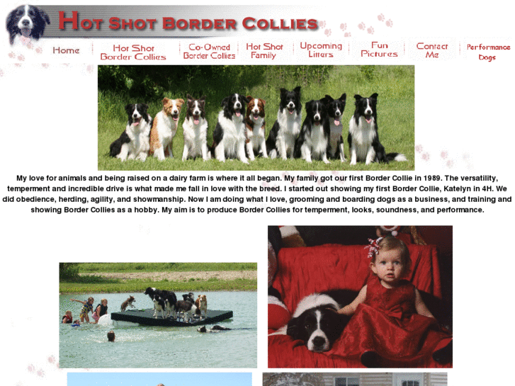 www.hotshotbordercollies.com