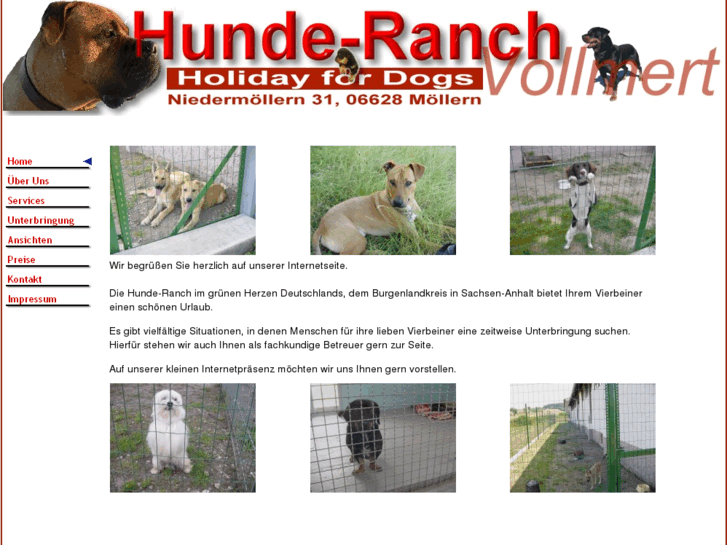 www.hunde-ranch.net