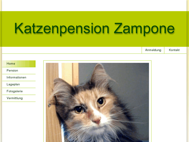 www.katzenpension-zampone.ch