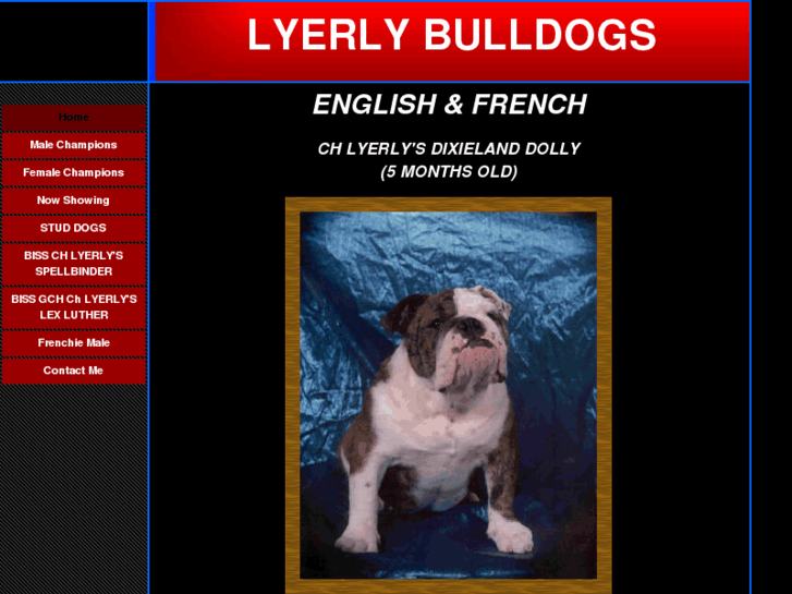 www.lyerlybulls.com