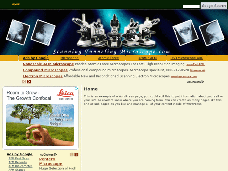 www.scanningtunnelingmicroscope.com