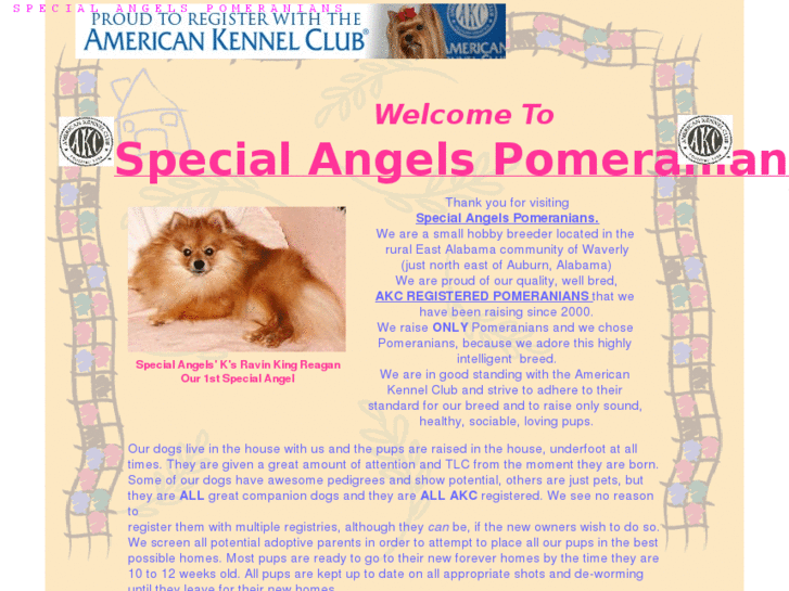 www.specialangelspomeranians.net